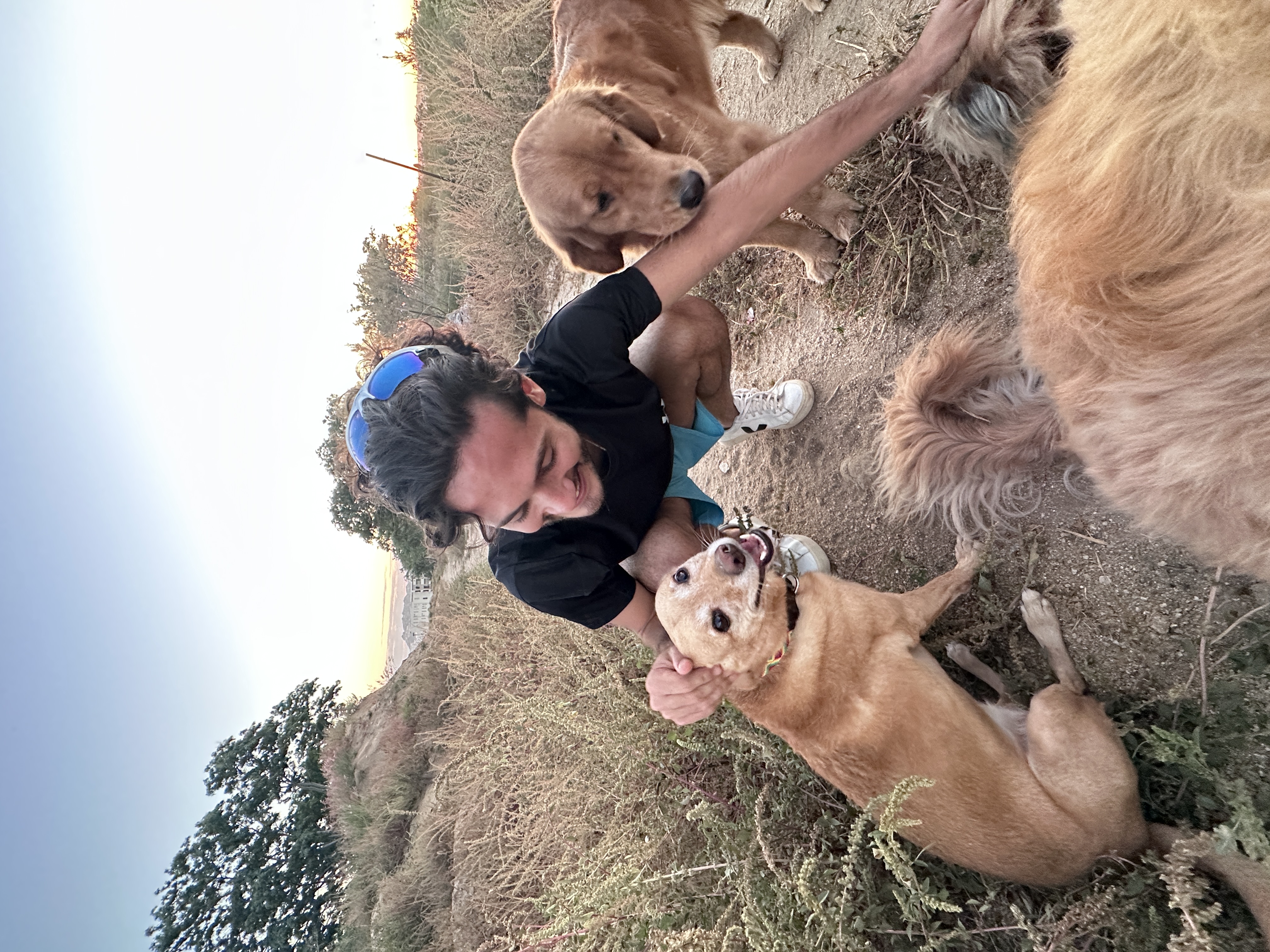 Good Dogs PAWLO en Guadalajara